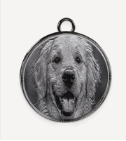 Example white brass dog pendant
